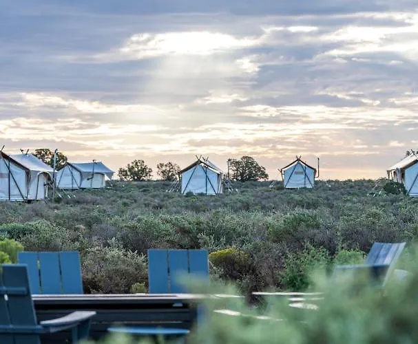 Under Canvas Grand Canyon Campo de lujo